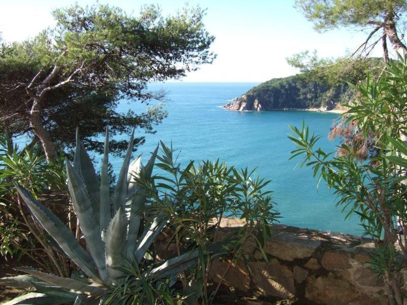 Apartamentos Cala Llevado Tossa de Mar Esterno foto